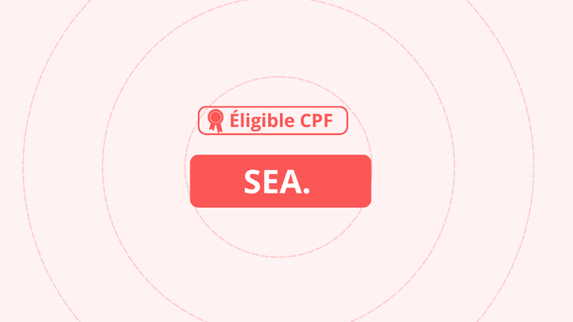 CONCEVOIR ET DEPLOYER UNE STRATEGIE DE COMMUNICATION DIGITALE (SEA)